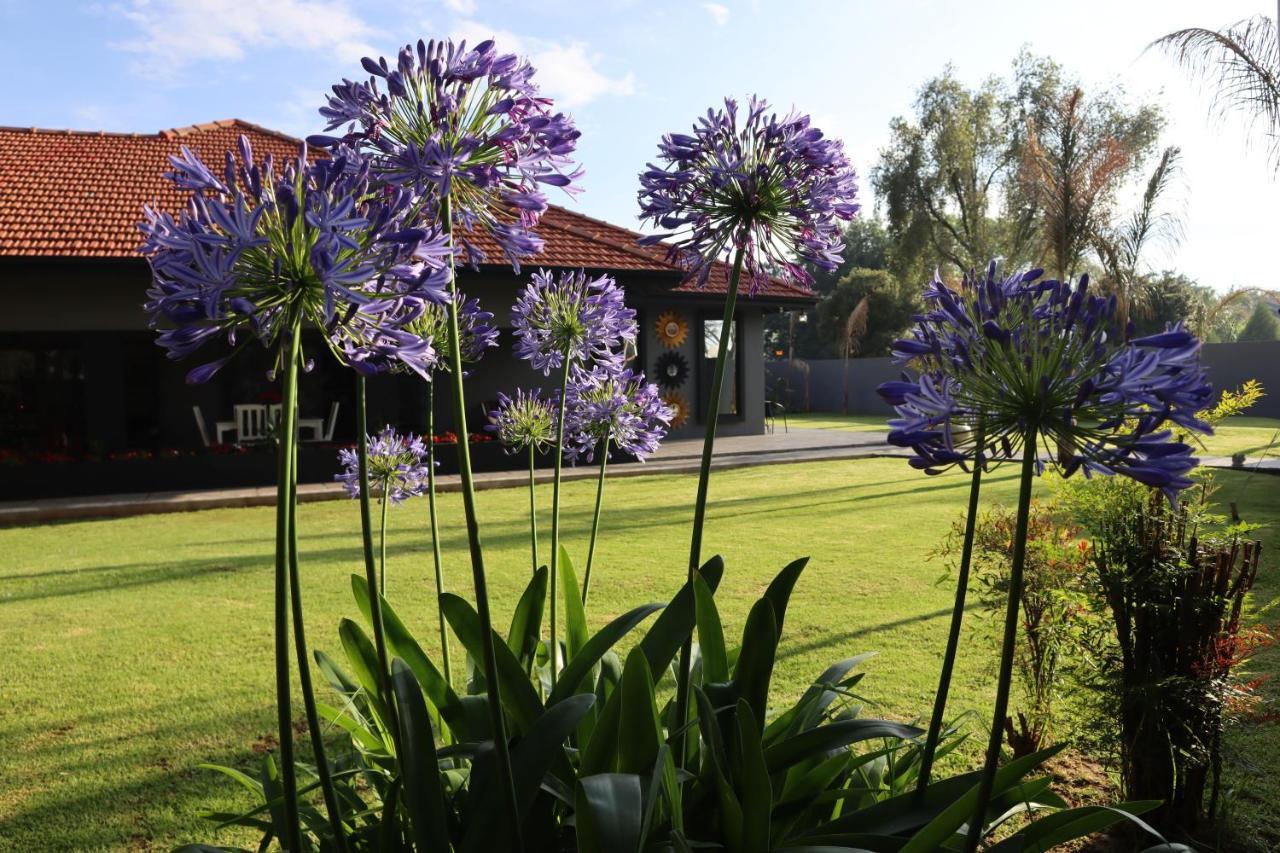 Villa Grande Luxury Accommodation 韦尔科姆 外观 照片